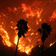 Photo: Ventura County Fire